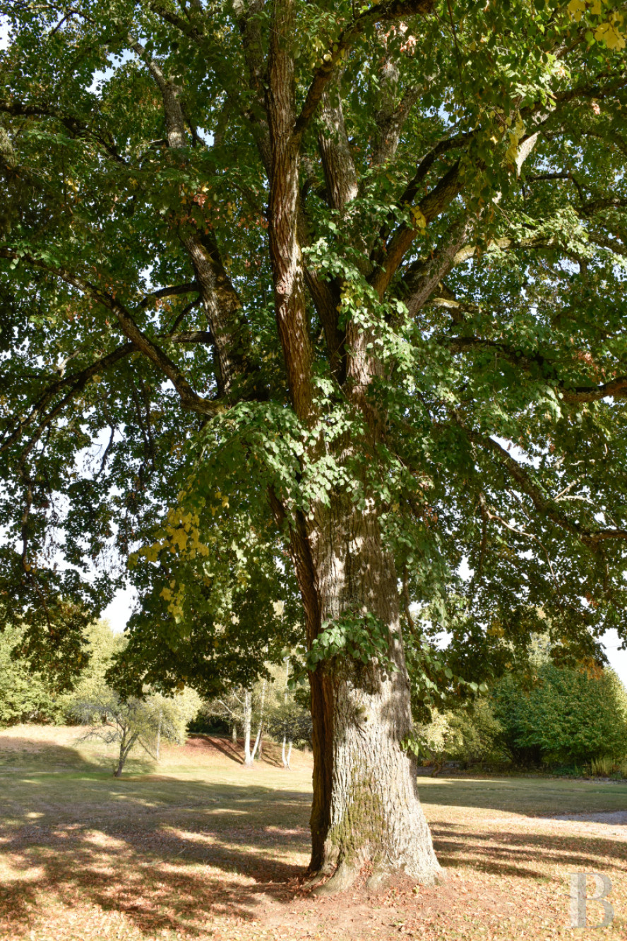 En Limousin, dans le sud-est de la Creuse et à proximité d’Aubusson, un logis indépendant du 17e siècle au centre d’une place forte médiévale,  - photo  n°32